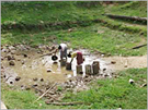 Women fetching the little water left in a small reservoir in Myanmar