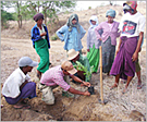 Participatory tree planting in Myanmar