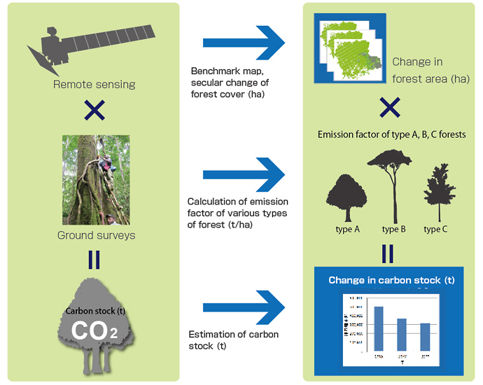 Consulting Surveys related to REDD+ | countermeasures Our Business | Kokusai Kogyo Co., Ltd.