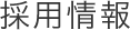 新卒採用募集要項