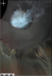 DMCによるオルソフォト近赤外画像。植生の持つクロロフィルは、赤および青の光を吸収し、近赤外画像では明瞭な赤色を示す。