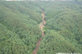 2．岡谷市川岸東地区-1【土石流】 写真02