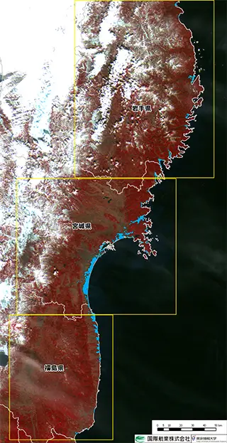 【速報】東日本大震災　広域衛星画像による東北地方沿岸全域の浸水範囲推定