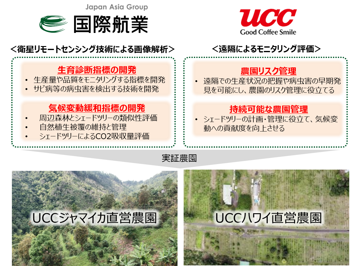 Ucc上島珈琲と国際航業 衛星画像による持続可能なコーヒー農園の実現で協業 内閣府の 先進的な衛星データ利用モデル実証プロジェクト に採択 ニュースリリース 国際航業株式会社