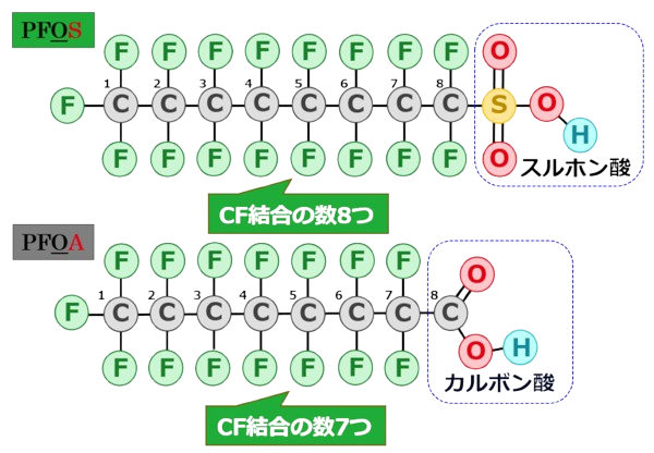 PFAS図6改_模式図