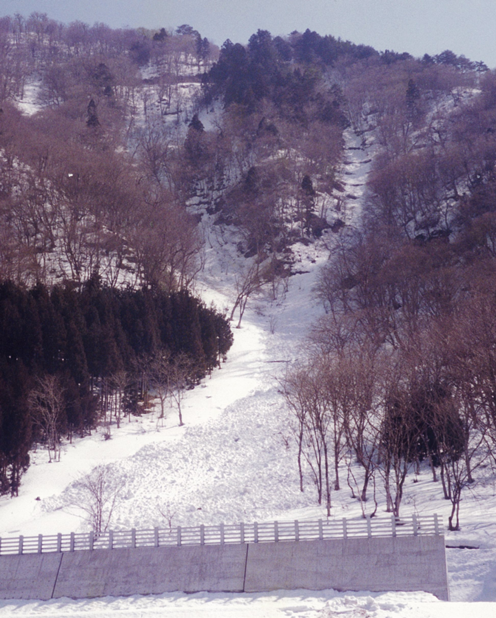 積雪状況の分析