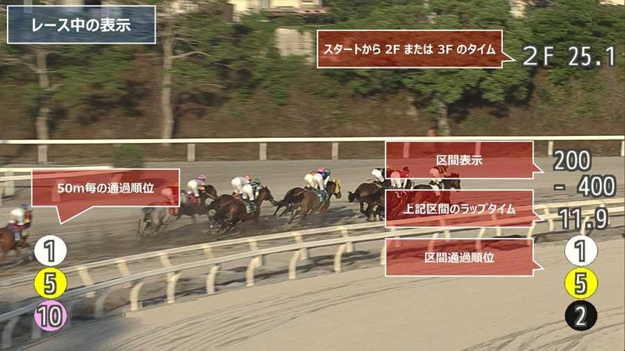 競馬　有力馬情報　後ろに競馬場のデータ付き 競走馬の位置情報を高精度・リアルタイムに可視化する位置測位