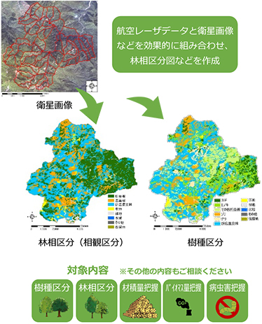 森林サービスにおける利用事例