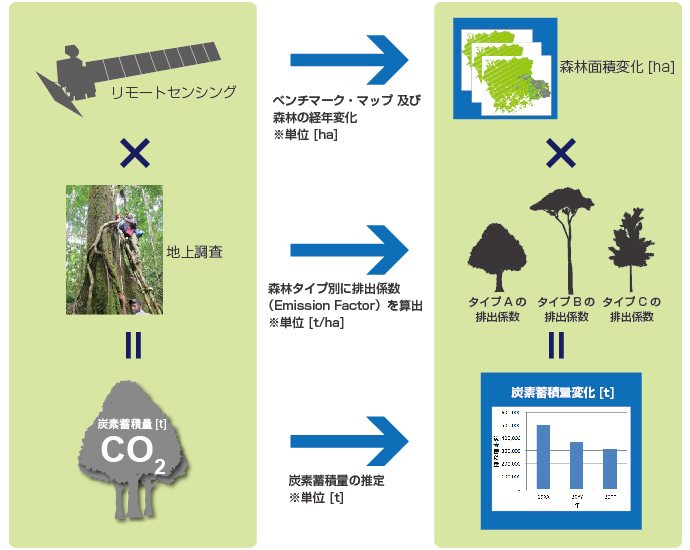 森林REDD+に関わる調査・コンサルティング