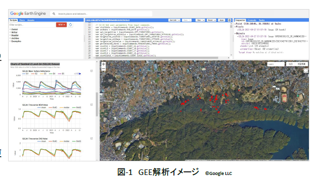 GEE解析イメージ