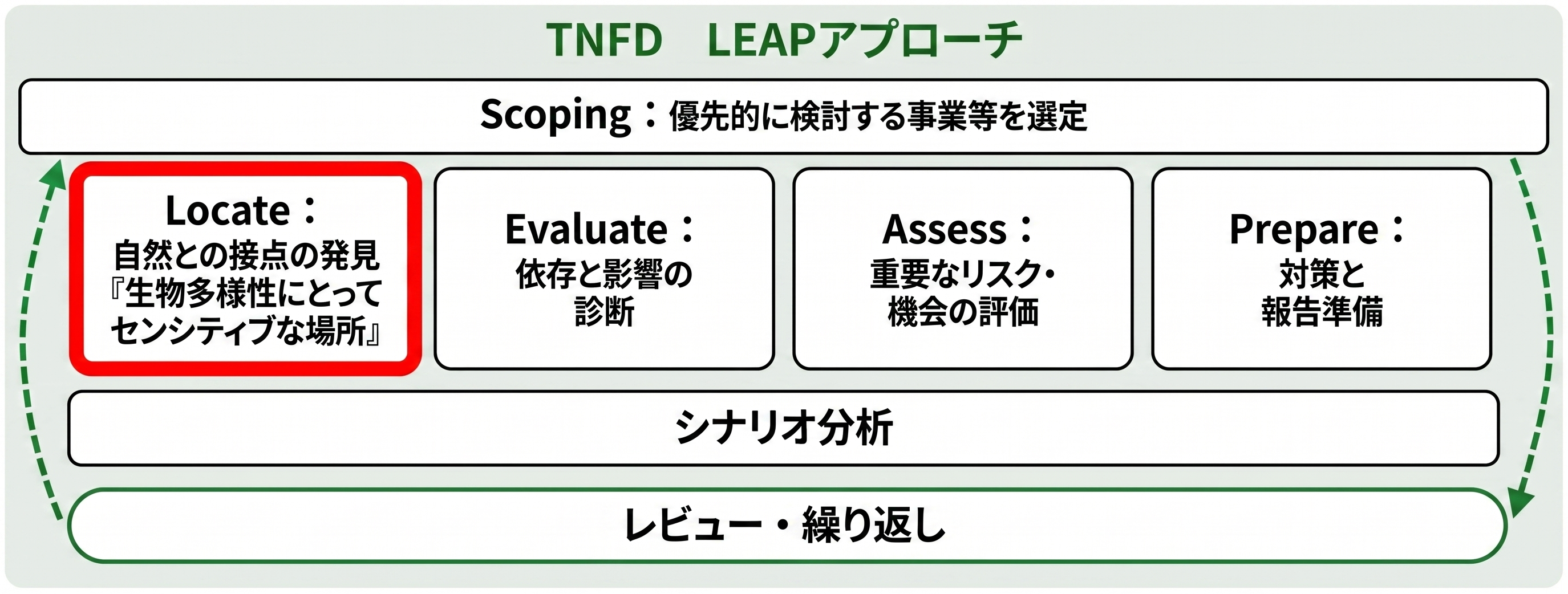 「TNFD LEAPアプローチ」の全体像を示す図。上部に「Scoping」があり、その下に並ぶ4つのステップ「Locate(自然との接点の発見)」「Evaluate(依存と影響の診断)」「Assess(リスク・機会の評価)」「Prepare(対策と報告準備)」のうち、「Locate」が赤枠で強調されています。さらに下部には「シナリオ分析」と、全体を循環する「レビュー・繰り返し」が配置されています。