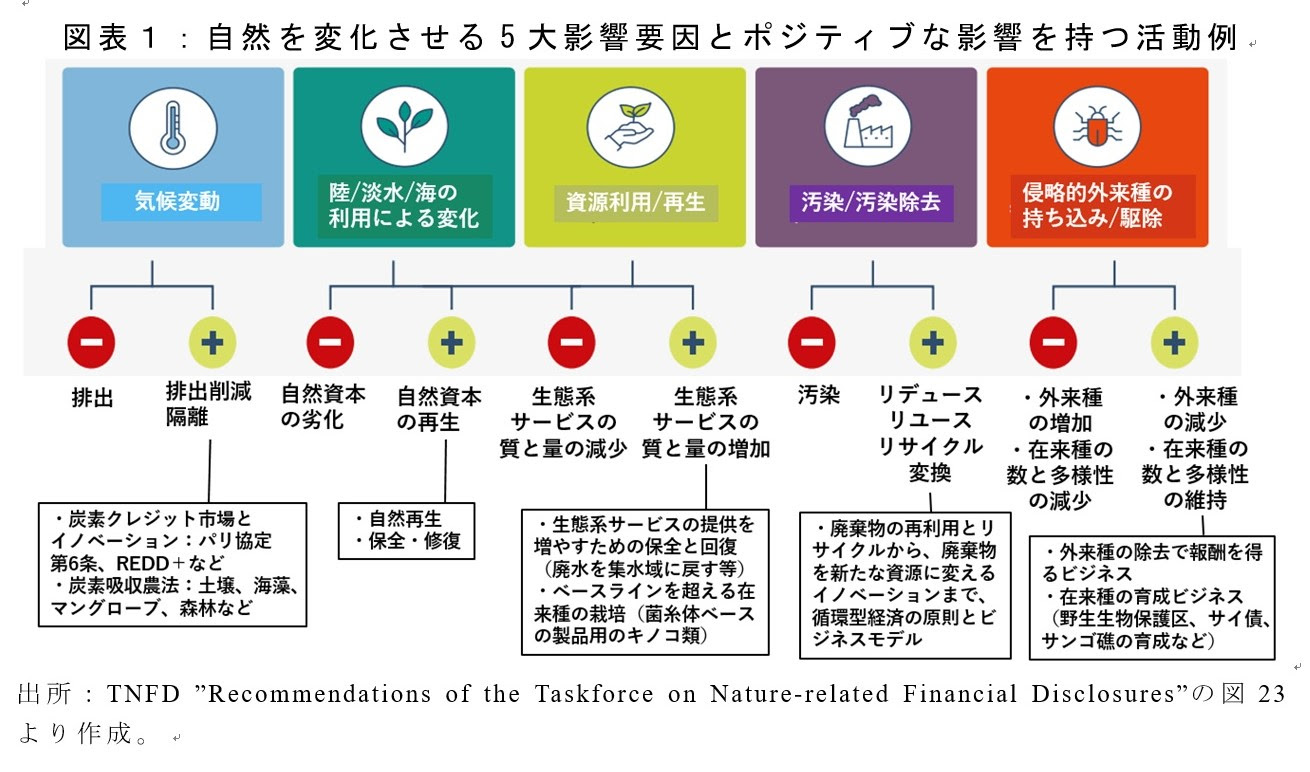 自然を変化させる5大影響要因とポジティブな影響を持つ活動例