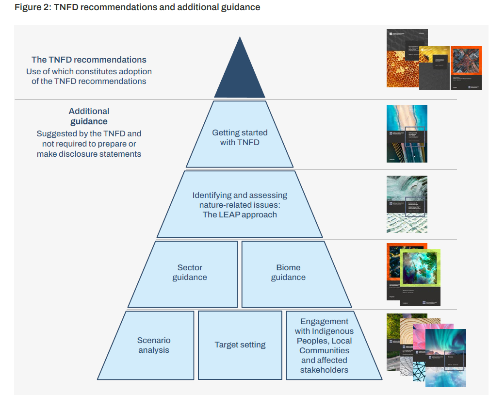 Recommendations_of_the_Taskforce_on_Nature-related_Financial_Disclosures_September_2023