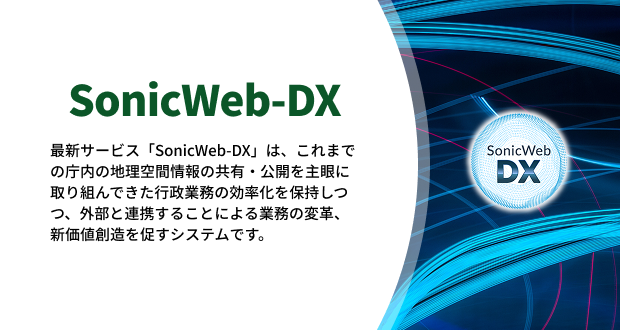 Sonic-Web DX