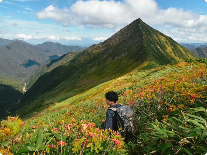現在の仕事について教えてください