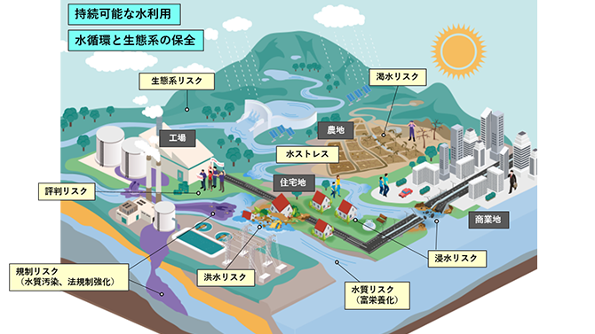水リスク・情報開示支援